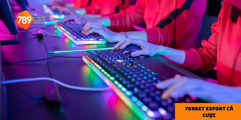 Hiểu rõ đội tuyển và quản lý vốn là yếu tố quyết định khi cá cược Esport.