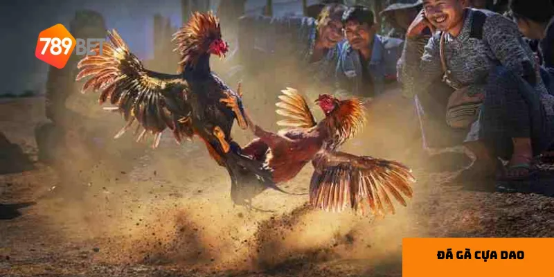 3 giống gà thường được chọn