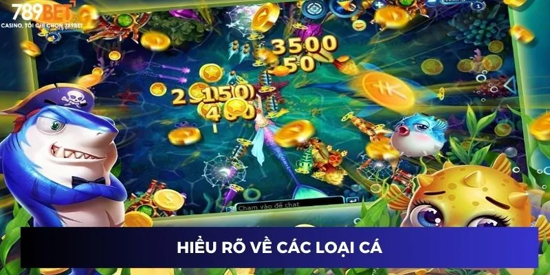 Hiểu rõ về các loại cá