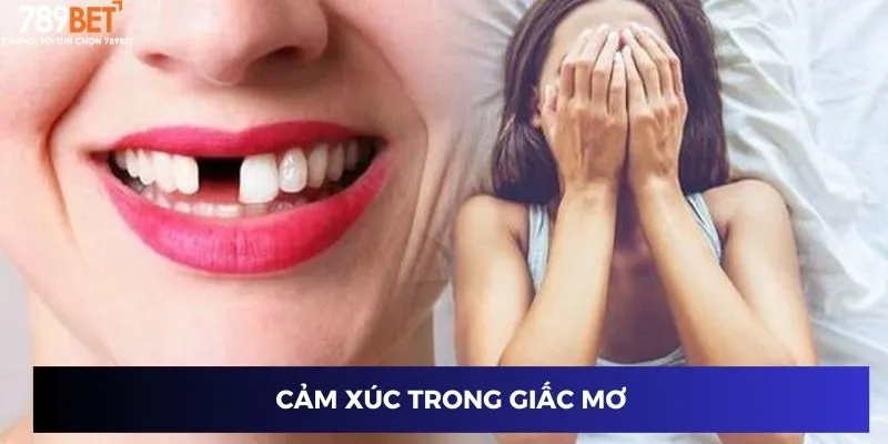Cảm xúc trong giấc mơ