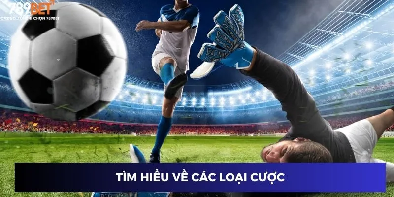 Tìm hiểu về các loại cược