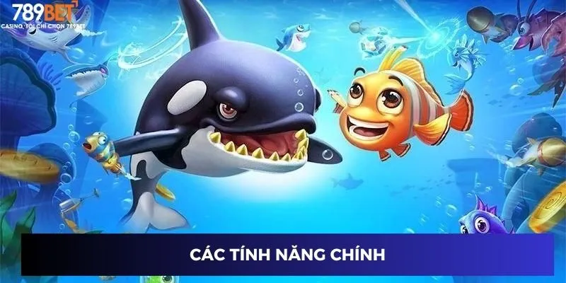 Các tính năng chính