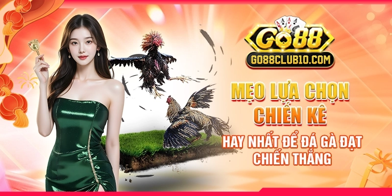 Mẹo Lựa Chọn Chiến Kê Hay Nhất Để Đá Gà Đạt Chiến Thắng 1 mẹo lựa chọn chiến kê