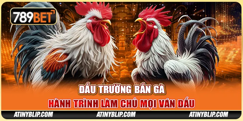 Đấu Trường Bắn Gà - Hành Trình Làm Chủ Mọi Ván Đấu