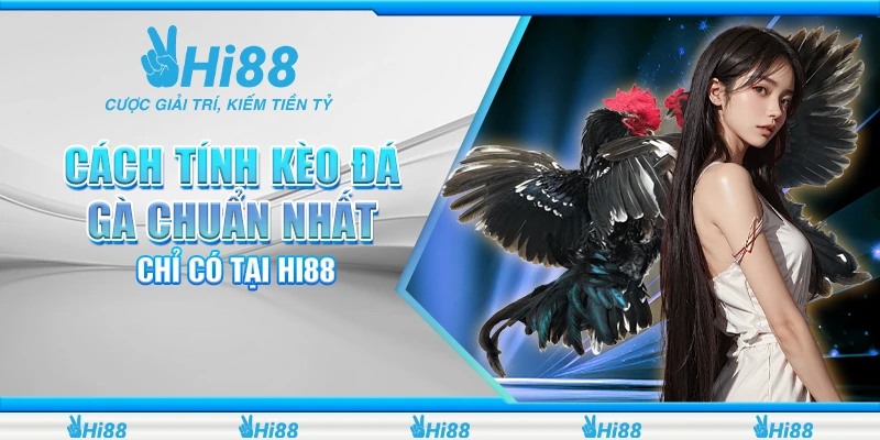 Cách tính kèo đá gà