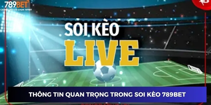 Thông tin quan trọng trong soi kèo 789BET