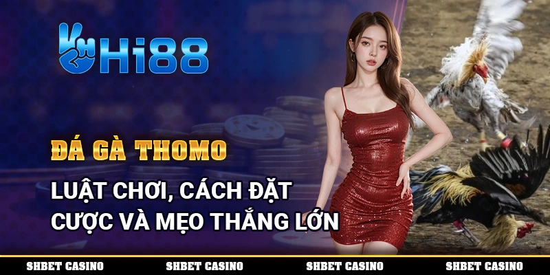 Đá Gà Thomo