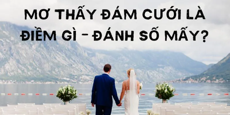 Mơ thấy đám cưới – Giải mã giấc mơ đám cưới và ý nghĩa phong thủy 4 Khám phá các con số nên đánh khi mơ thấy đám cưới