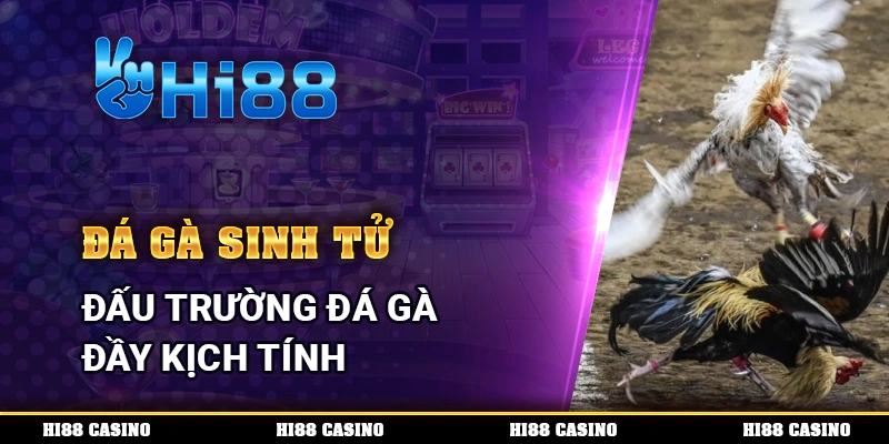 Đá Gà Sinh Tử