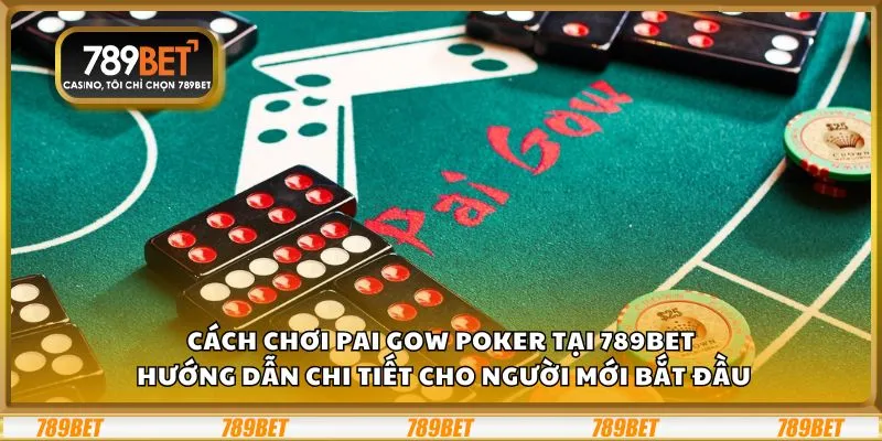 Cách chơi Pai Gow Poker tại 789Bet: Hướng dẫn chi tiết cho người mới bắt đầu